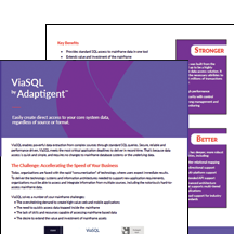 ViaSQL data management brochure ViaSQL data management brochure